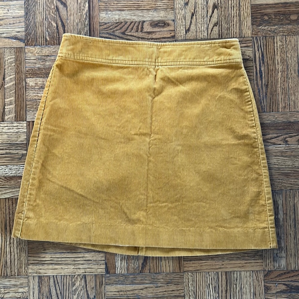 Skirt (Jcrew)